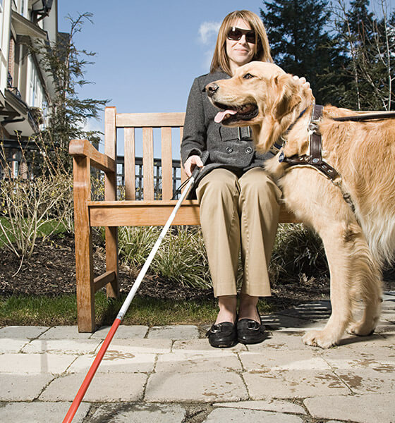 who started guide dogs